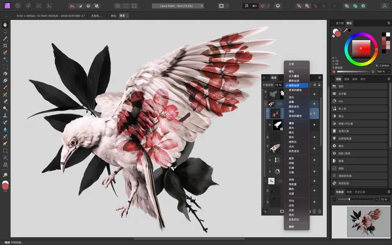 Affinity Photo 2 ｜图像编辑应用｜v2.5.5