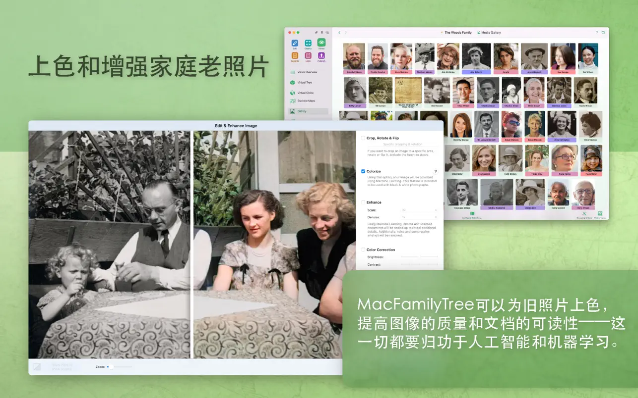 MacFamilyTree 10 ｜家谱软件｜v10.2.2