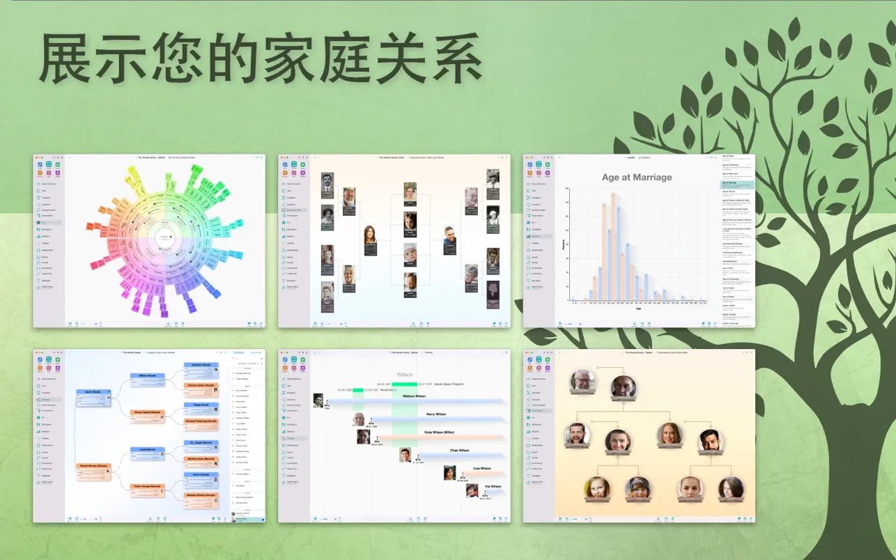 MacFamilyTree 10 ｜家谱软件｜v10.2.2