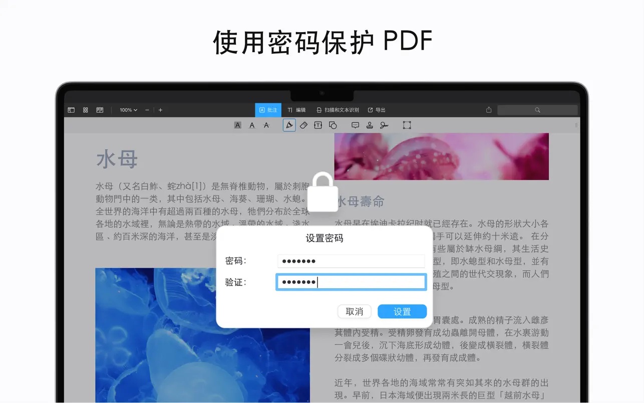 PDF 点睛｜PDF Expert ｜PDF编辑器｜v3.10.3