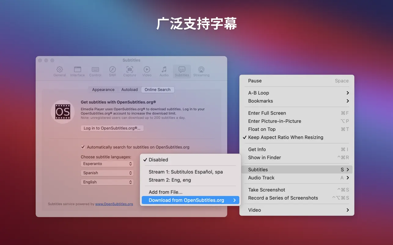 Elmedia Player Pro｜影音播放器｜v8.20