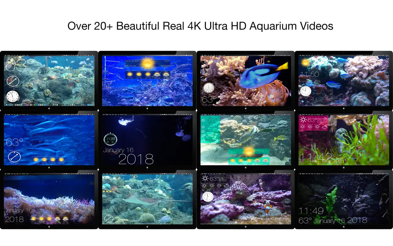 Aquarium 4K – Live Wallpaper ｜高清动态壁纸｜v1.0.5