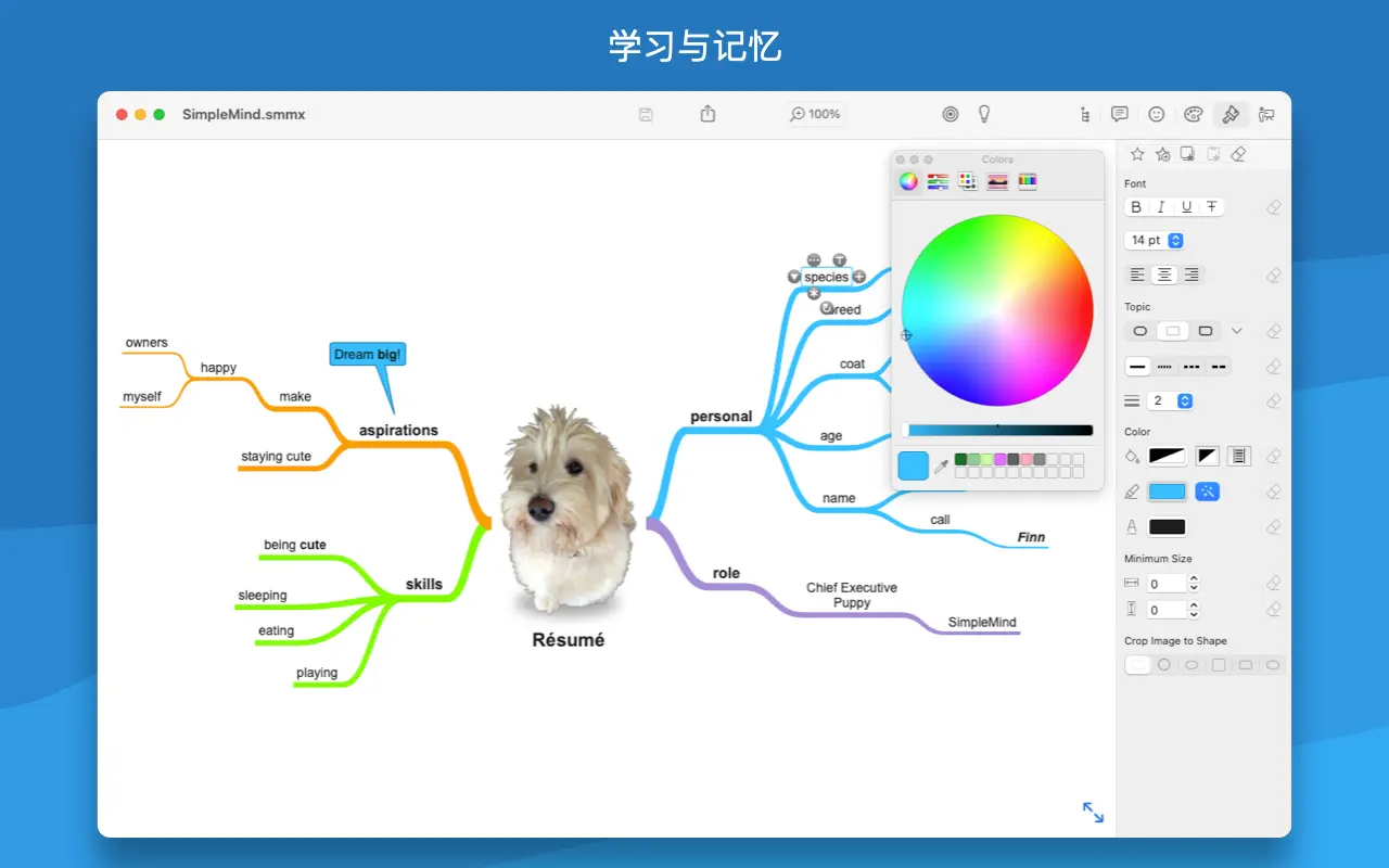 SimpleMind ｜思维导图软件｜v2.4.1