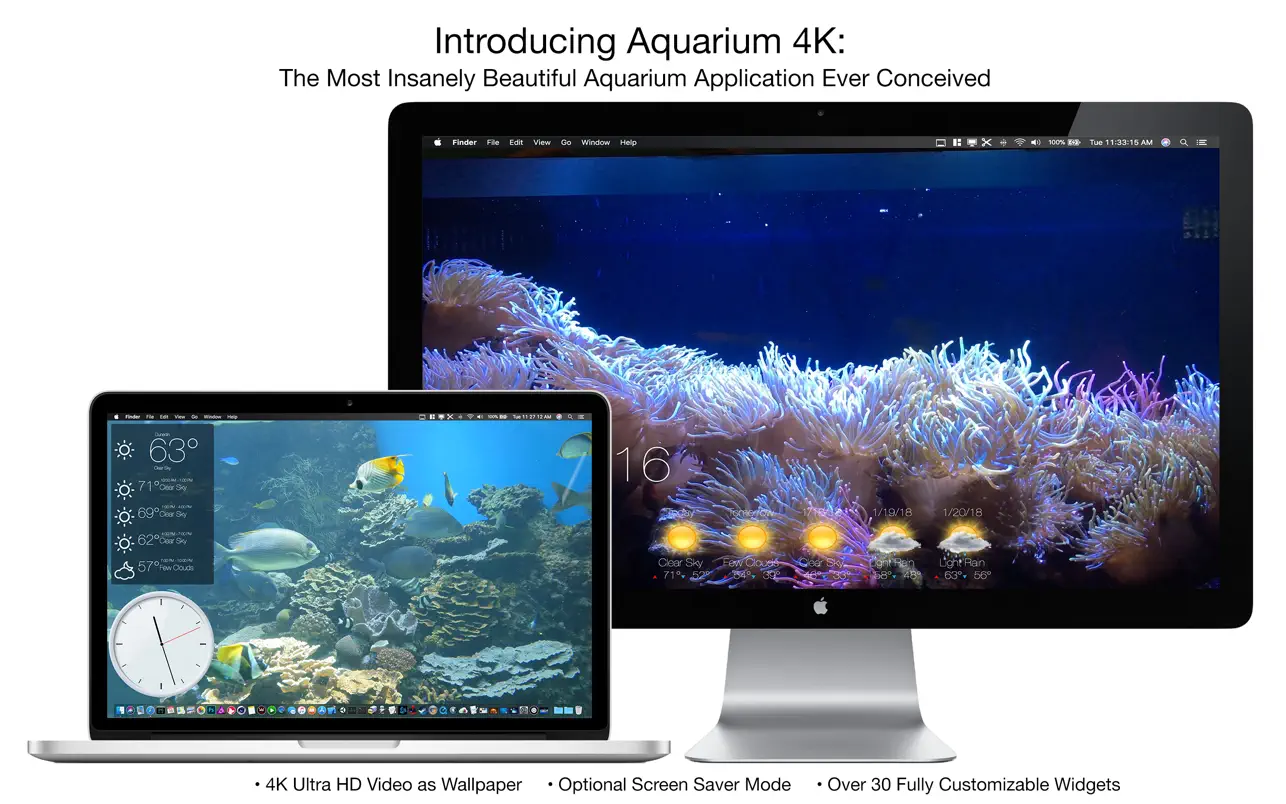 Aquarium 4K – Live Wallpaper ｜高清动态壁纸｜v1.0.5