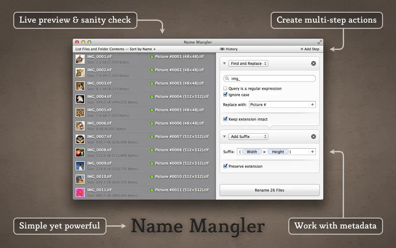 Name Mangler 3｜批量重命名工具｜v3.9.1