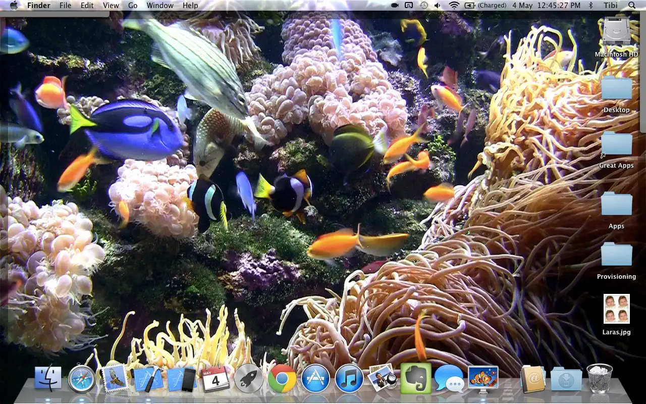 Desktop Aquarium Wallpapers｜水族馆锁屏动态壁纸 HD｜v2.2.0