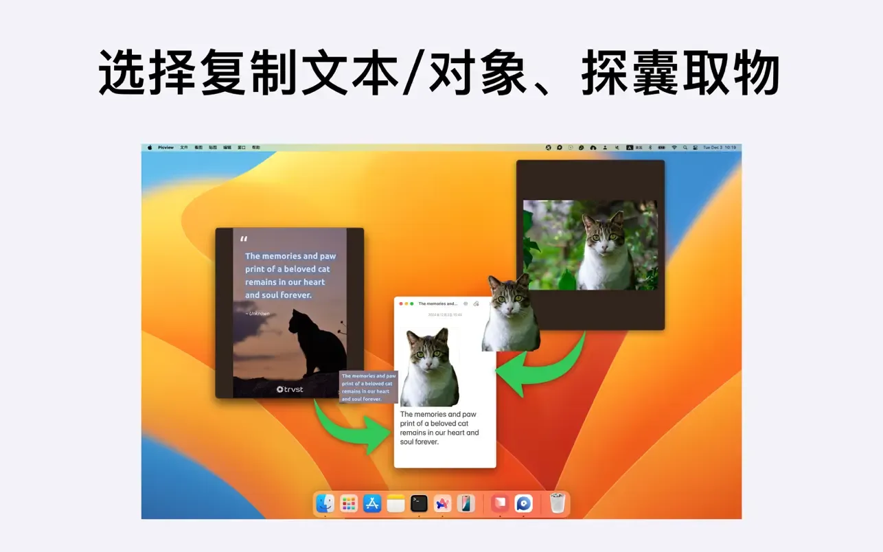 Picview｜图片浏览器｜v1.4.5
