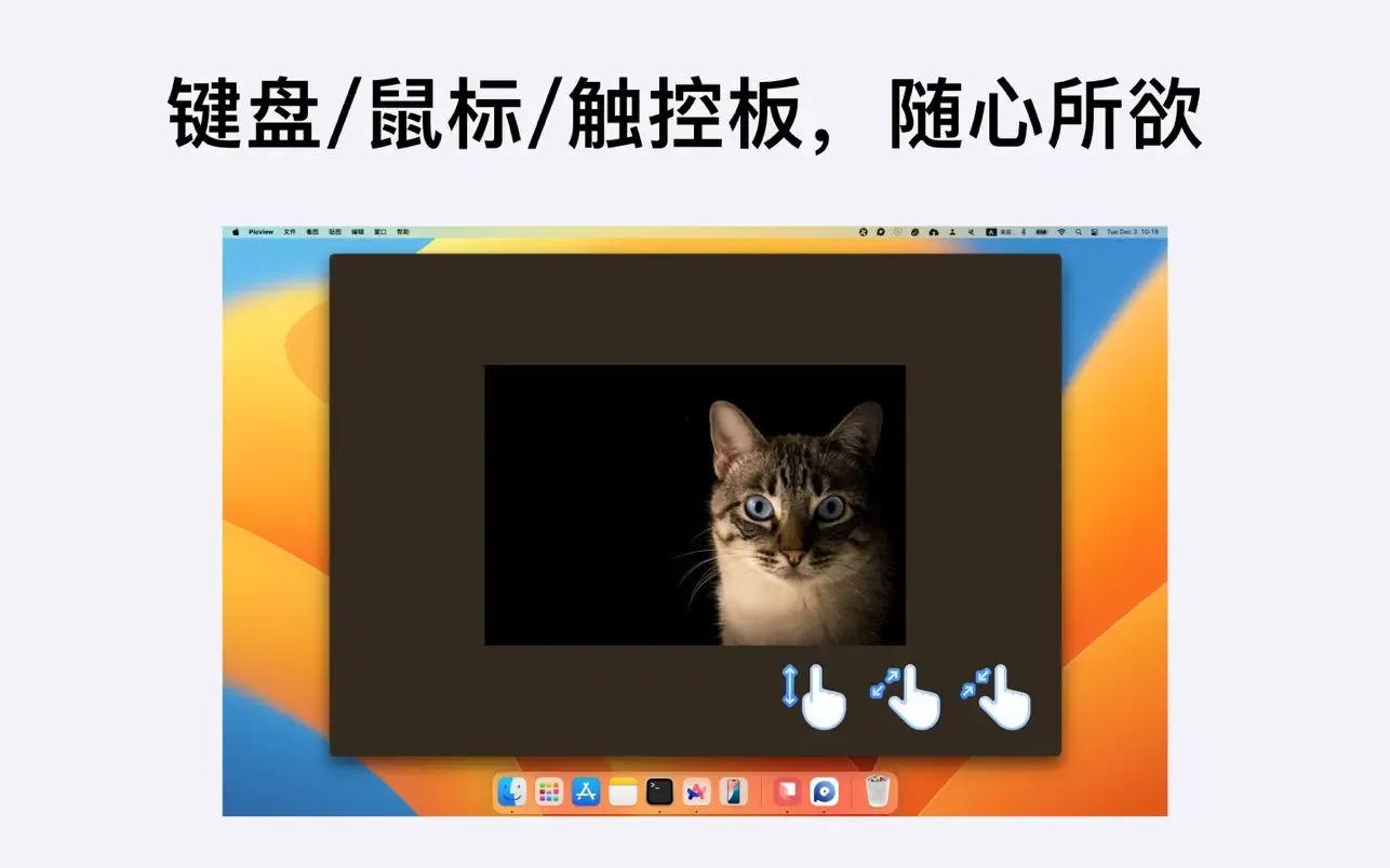 Picview｜图片浏览器｜v1.4.5