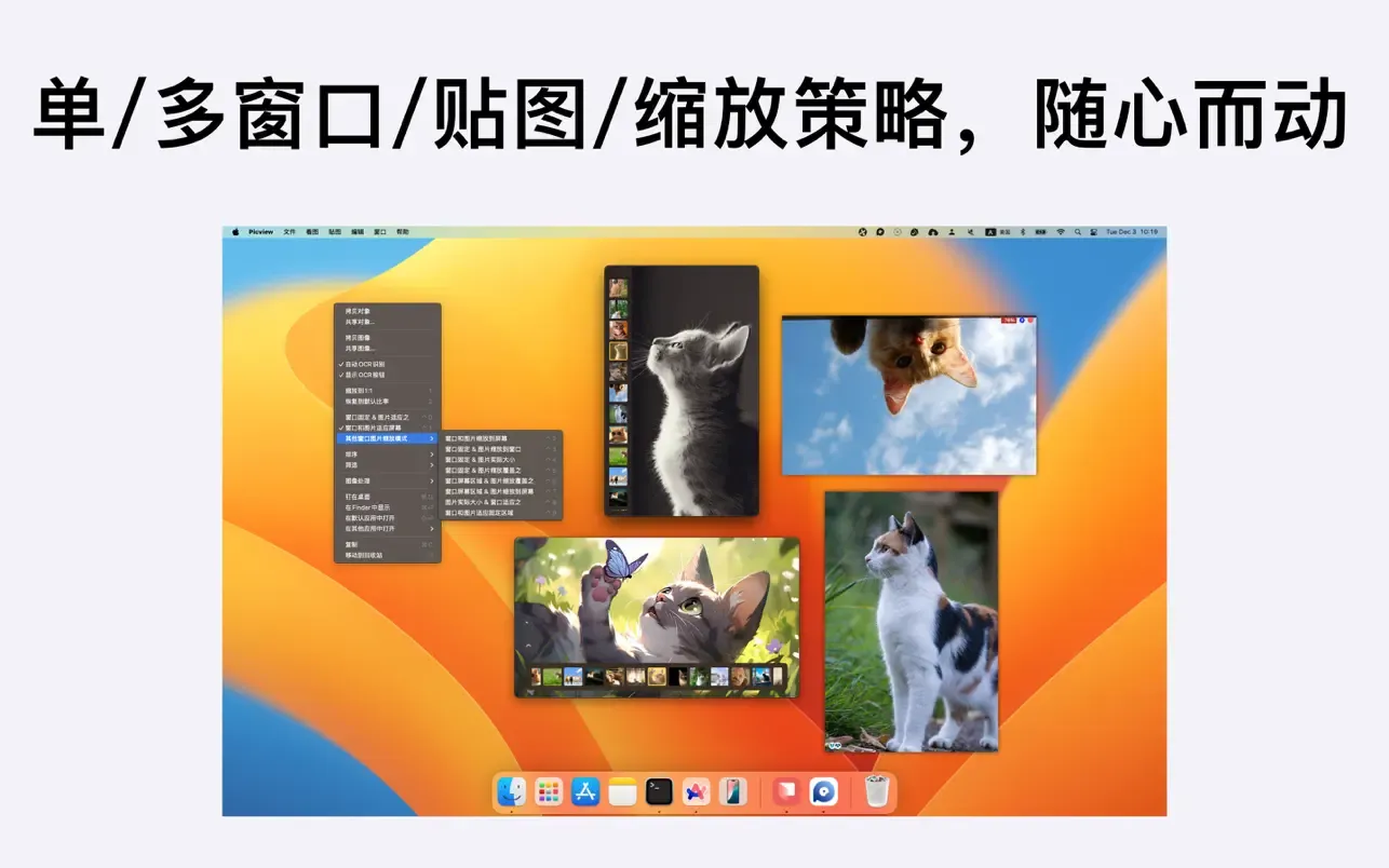 Picview｜图片浏览器｜v1.4.5