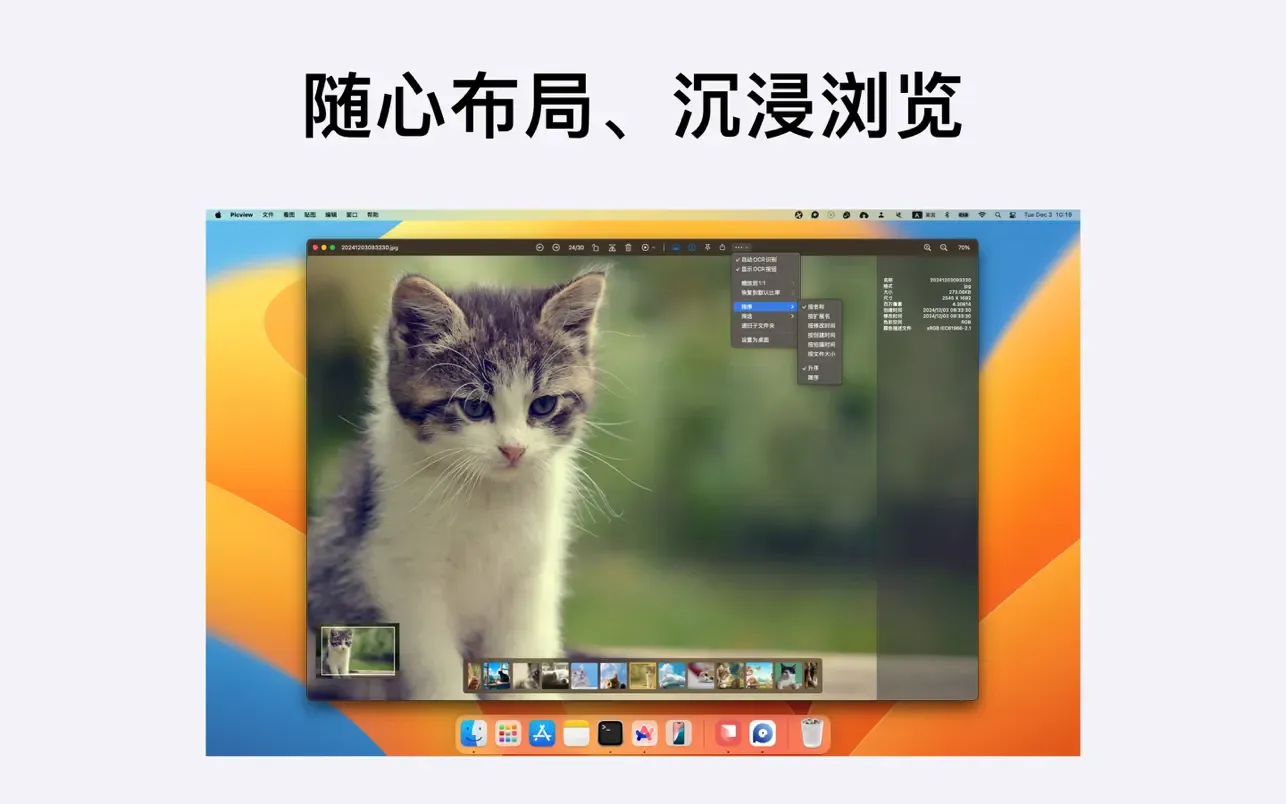 Picview｜图片浏览器｜v1.4.5