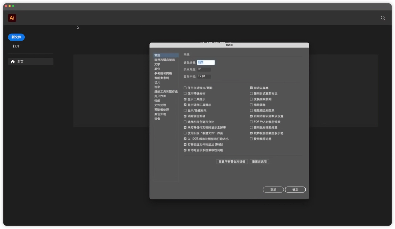 Adobe Illustrator 2025｜矢量图形设计软件｜v29.5.1